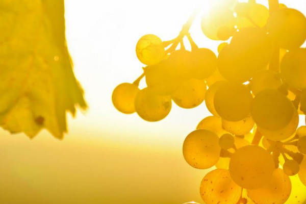 Weinstube